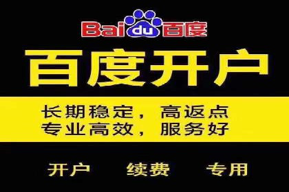 竞价广告案例分析：品牌成功之道